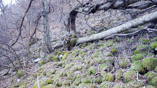 IMGP4508.jpg
