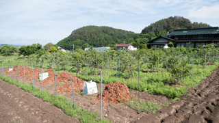 P1140324.jpg