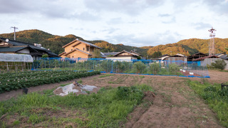 P1140341.jpg