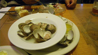 IMGP0153.JPG