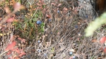 P1000773.jpg