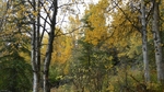 P1000789.jpg