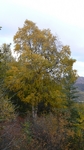 P1000881.jpg