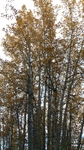 P1000903.jpg