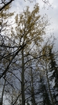 P1000907.jpg