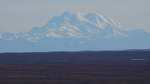 P1010005.jpg