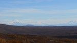 P1010006.jpg