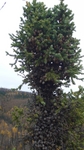 P1020127.jpg